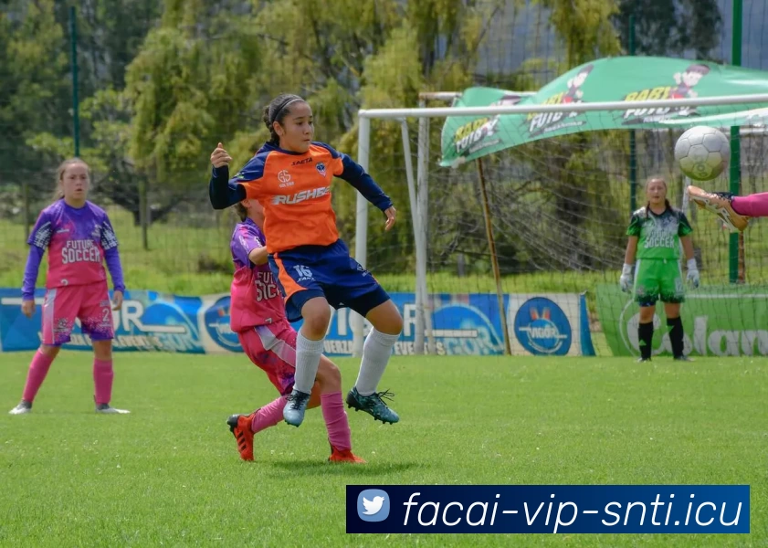 开云体育品牌故事