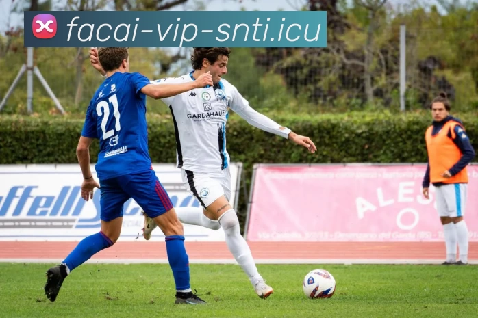 开云体育服务体系